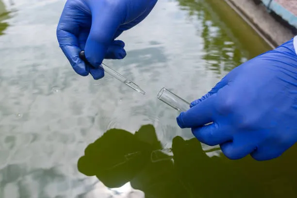 Gloved hands drawing a water sample into a test tube with a pipette.